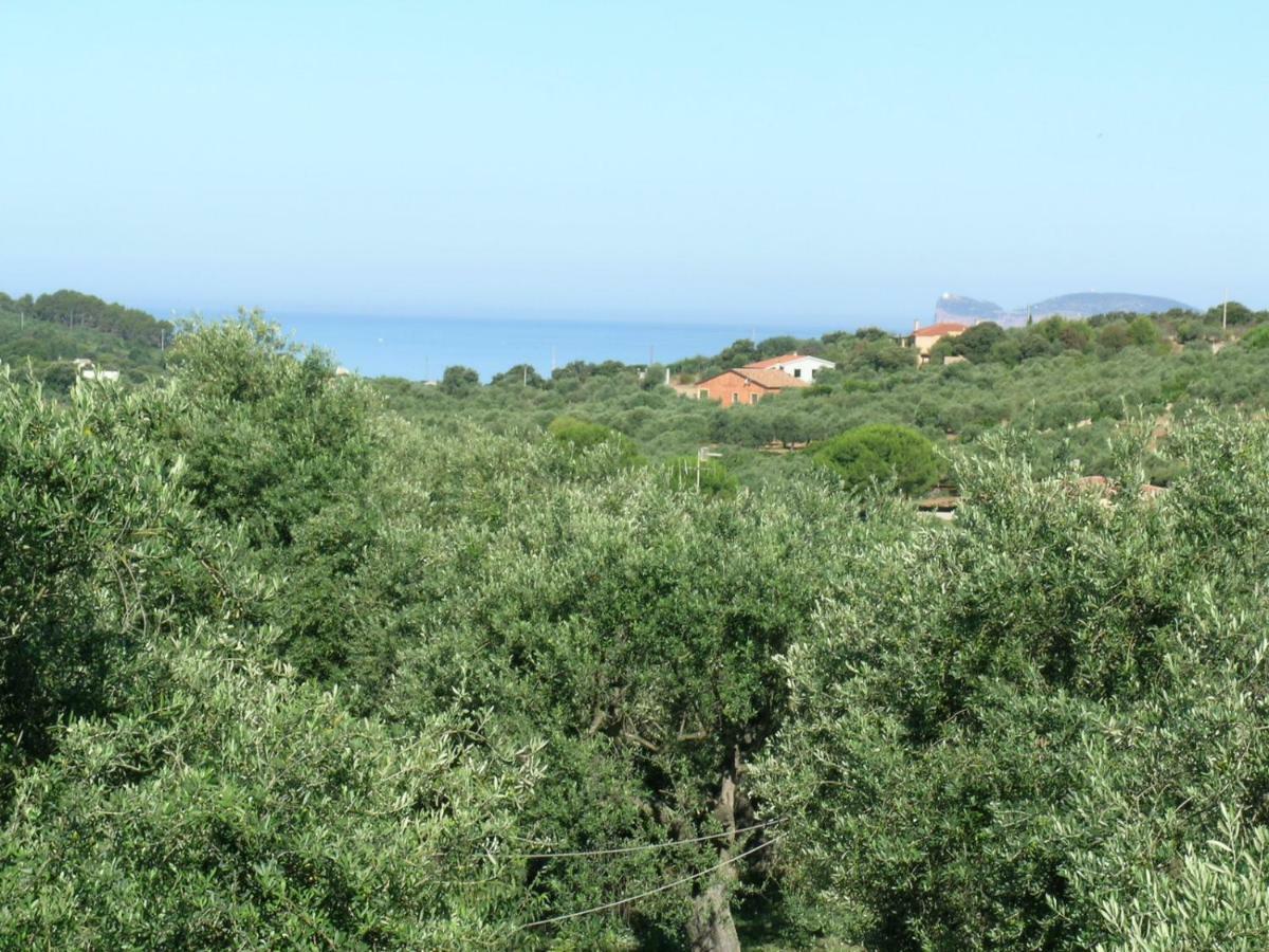 Villa La Scaletta Альгеро Экстерьер фото